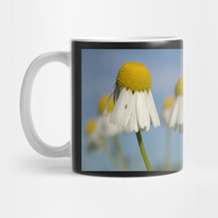 Early Morning Mayweed Mug